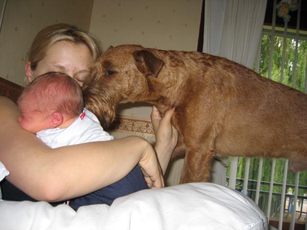 Floyd komt kijken 2, geplaatst door papa Boudewijn op 2004-06-08