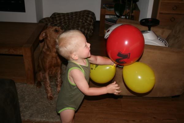 Jesse 2 jaar., geplaatst door mama Lizanne op 2007-08-17