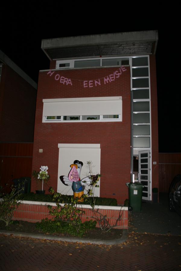 Ons huis in de versieringen., geplaatst door mama Lizanne op 2007-11-07