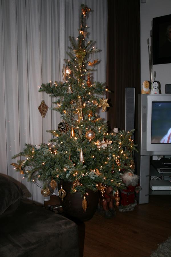 Onze kerstboom!, geplaatst door mama Lizanne op 2007-12-12