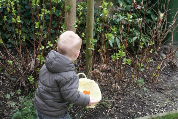 Jesse gaat buiten eieren zoeken op 1e Paasdag!, geplaatst door mama Lizanne op 2008-03-31