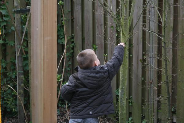 Merijn gaat paaseieren zoeken op 1e Paasdag!, geplaatst door mama Lizanne op 2008-04-01