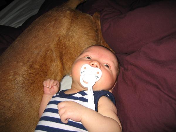 Merijn ligt tegen Floyd aan - 2, geplaatst door papa Boudewijn op 2004-06-29