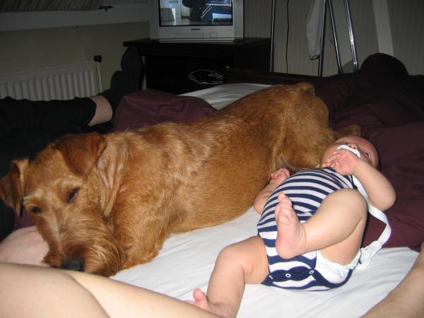 Merijn ligt tegen Floyd aan - 3, geplaatst door papa Boudewijn op 2004-06-29