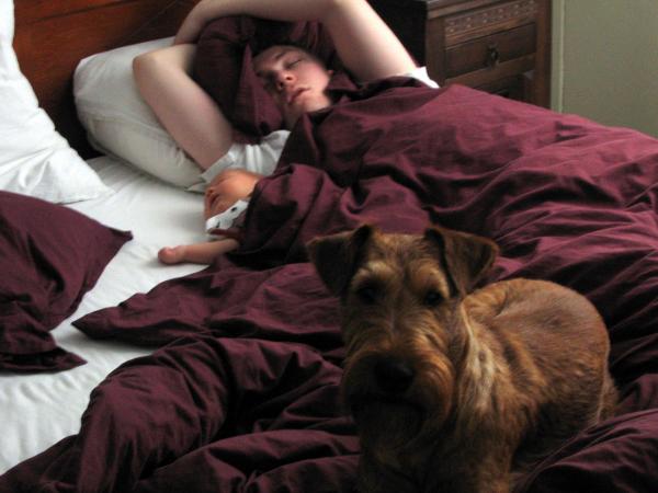 Merijn en papa in slaap - 4, geplaatst door papa Boudewijn op 2004-06-29