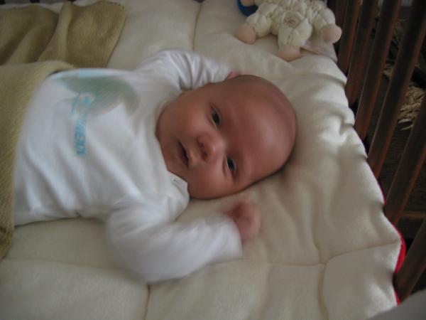 Merijn in z'n bed - 3, geplaatst door papa Boudewijn op 2004-07-27