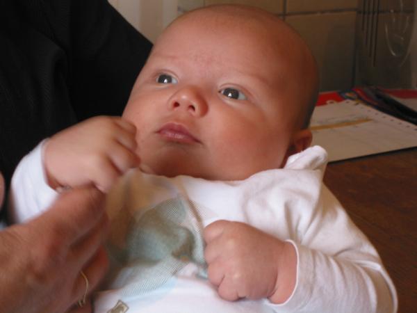 Merijn zomaar, geplaatst door papa Boudewijn op 2004-07-27