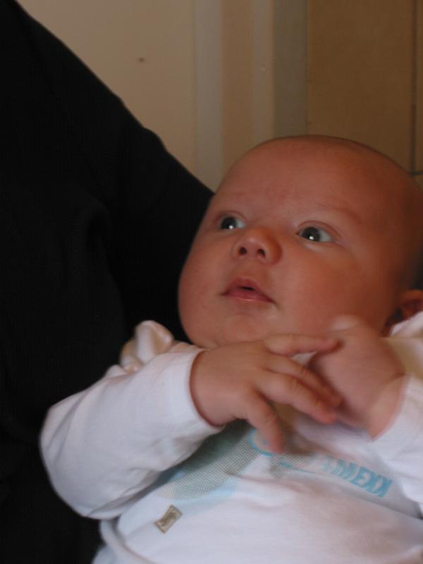 Merijn zomaar - 2, geplaatst door papa Boudewijn op 2004-07-27