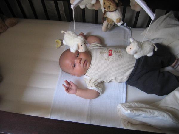 Merijn in de box - 6, geplaatst door papa Boudewijn op 2004-07-27