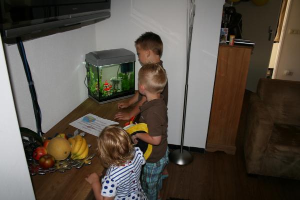 Merijn 5 jaar!, geplaatst door mama Lizanne op 2009-06-06