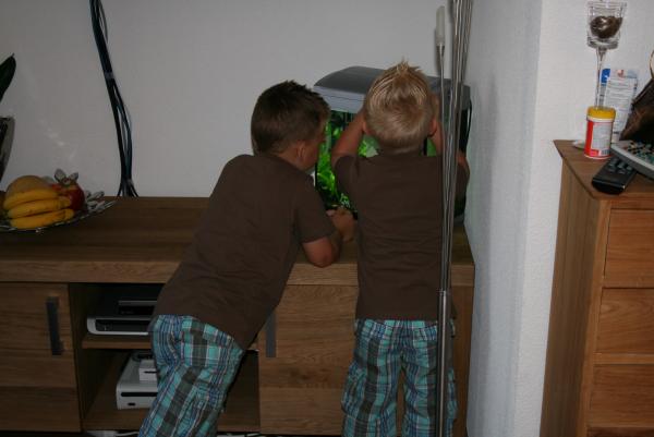 Merijn 5 jaar!, geplaatst door mama Lizanne op 2009-06-06