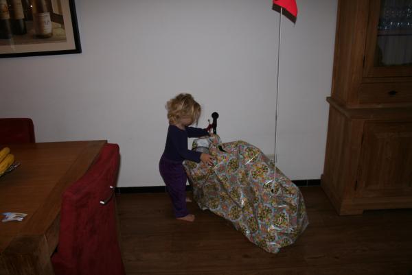 Alana 2 jaar!, geplaatst door mama Lizanne op 2009-11-02