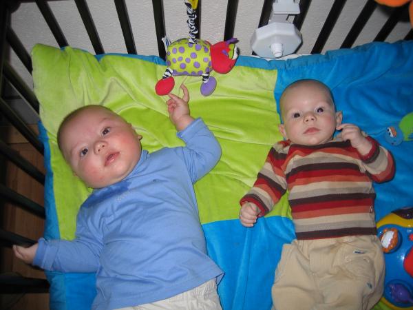 Merijn in de box samen met Thijme., geplaatst door mama Lizanne op 2004-11-01