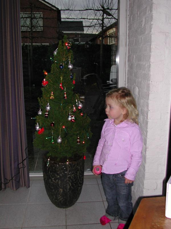 Kerstboom bij oma Tineke, geplaatst door mama Lizanne op 2009-12-23