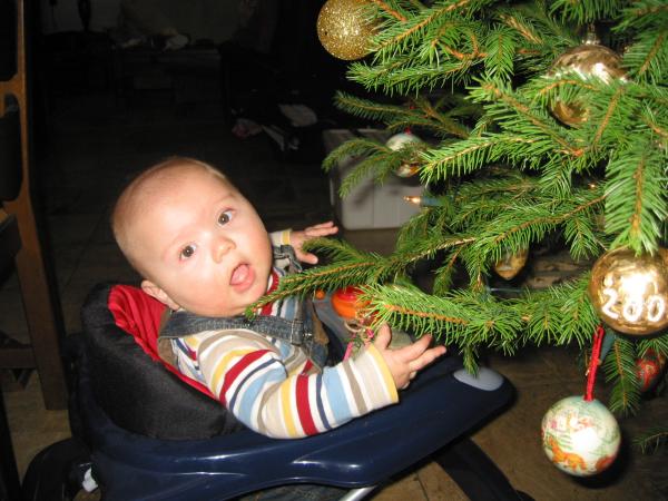 Merijn vind de kerstboom erg leuk!, geplaatst door mama Lizanne op 2004-12-15