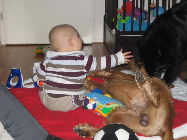 Merijn aan het spelen met Floyd en Silver., geplaatst door mama Lizanne op 2005-02-16