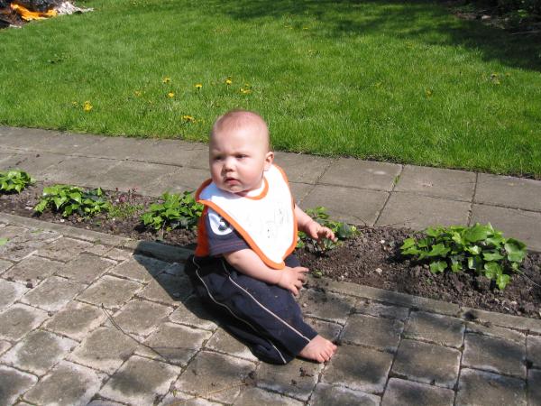 Merijn bezig in de tuin., geplaatst door mama Lizanne op 2005-04-30