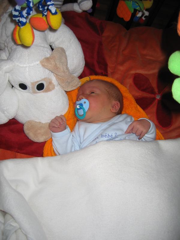 Jesse in de box naar de mobiel aan het kijken., geplaatst door mama Lizanne op 2005-08-16