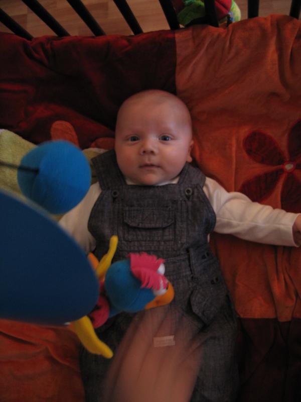 Jesse klaar om voor het eerst naar de Dierentuin te gaan., geplaatst door mama Lizanne op 2005-10-17