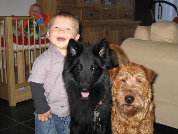 Merijn samen met de honden., geplaatst door mama Lizanne op 2006-05-17