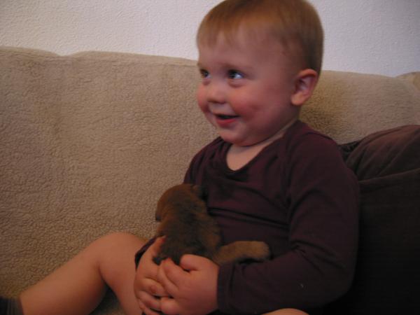Merijn met een puppy., geplaatst door mama Lizanne op 2006-05-17
