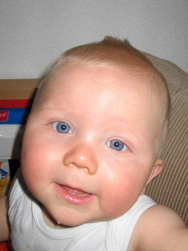 Jesse., geplaatst door mama Lizanne op 2006-05-17