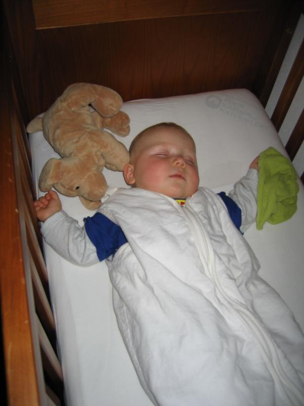 Jesse slapend in zijn bedje., geplaatst door mama Lizanne op 2006-06-01