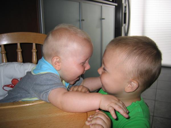 Jesse en Merijn samen neuzen., geplaatst door mama Lizanne op 2006-07-05